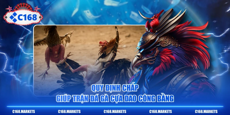 Quy định chấp giúp trận đá gà cựa dao công bằng